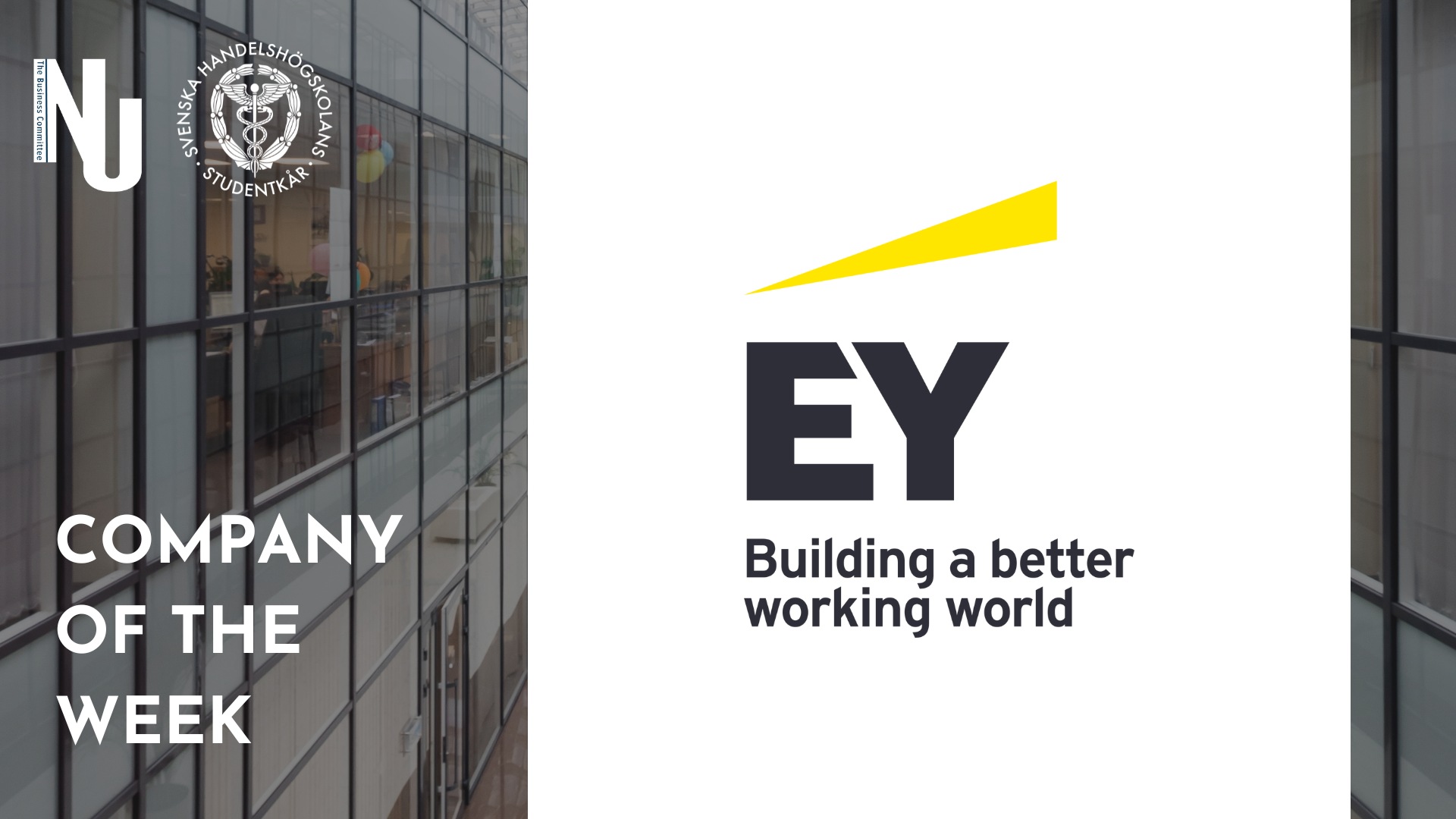 Company of the Week EY SHS